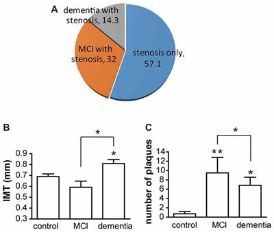 Changes in Blood Factors and Ultrasound Findings in Mild Cognitive Impairment and Dementia